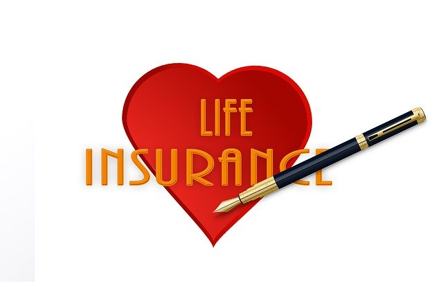 Free download Insurance Life Heart -  free illustration to be edited with GIMP free online image editor