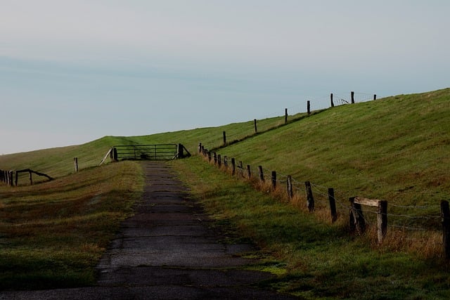 Free download island pasture grass nature free picture to be edited with GIMP free online image editor