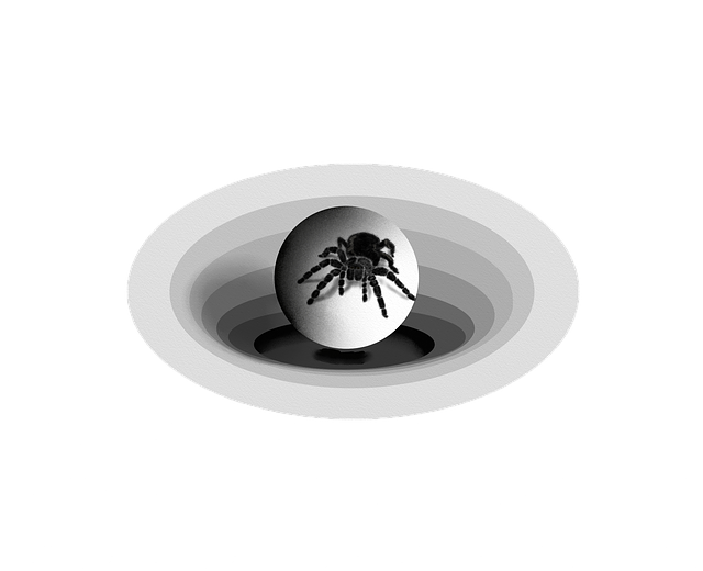 Free download Isolated Spider Hole -  free illustration to be edited with GIMP free online image editor