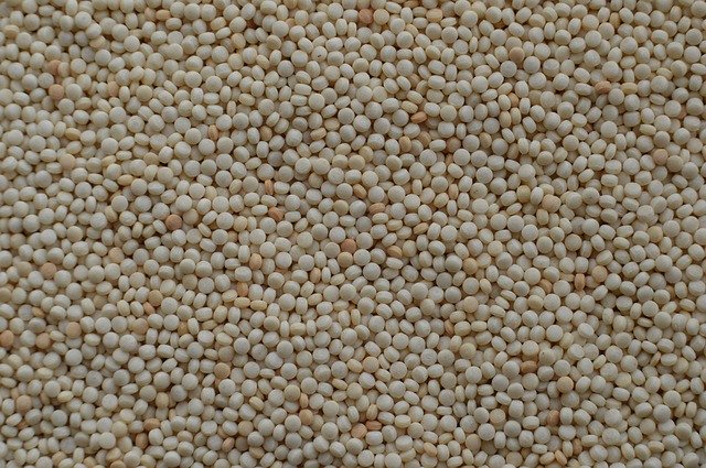 Free download Israeli Couscous Pearled -  free photo or picture to be edited with GIMP online image editor