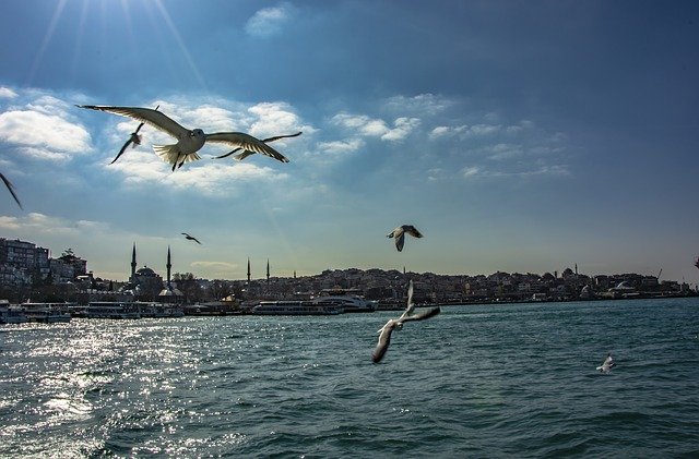 Free download Istanbul Landscape Turkey -  free photo or picture to be edited with GIMP online image editor