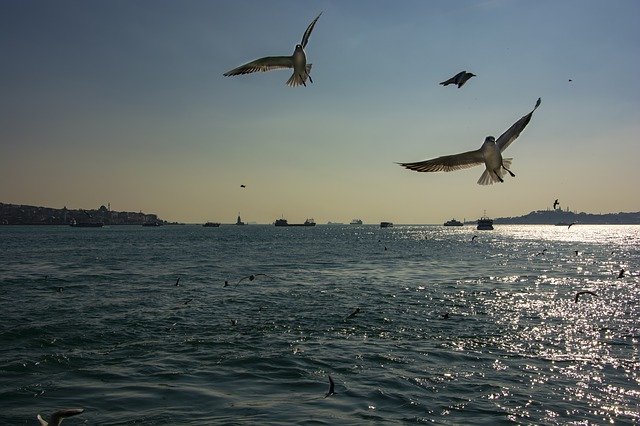 Free download Istanbul Marine Sky -  free photo or picture to be edited with GIMP online image editor