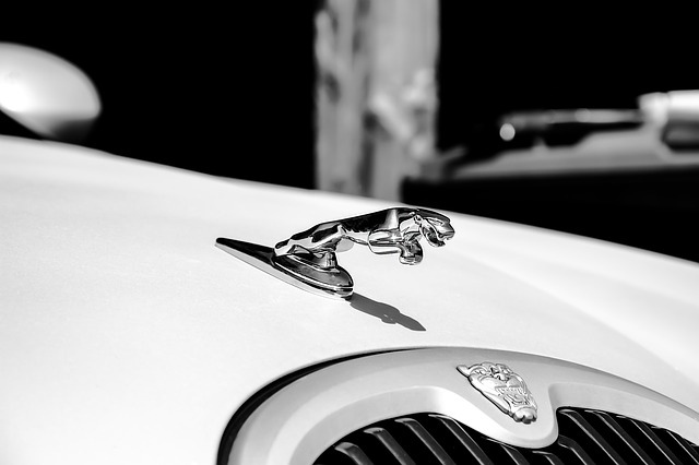 Free download jaguar white automobile vehicle free picture to be edited with GIMP free online image editor