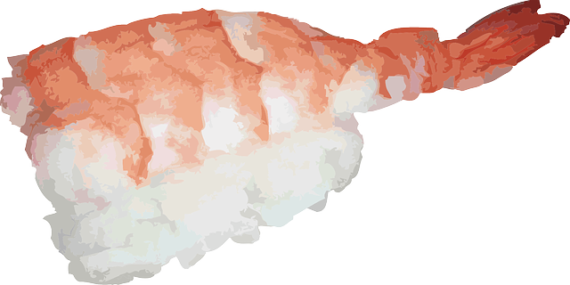 Free download Japanese Sushi Asian - Free vector graphic on Pixabay free illustration to be edited with GIMP free online image editor