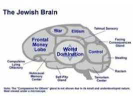 Free download Jewish Brain free photo or picture to be edited with GIMP online image editor