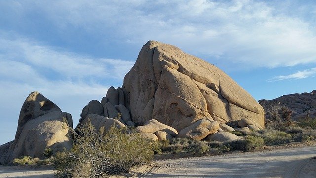 Free download Joshua Tree National Park Desert -  free photo or picture to be edited with GIMP online image editor