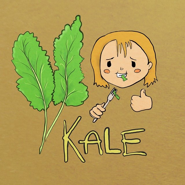 Free download Kale Diet Healthy -  free illustration to be edited with GIMP free online image editor