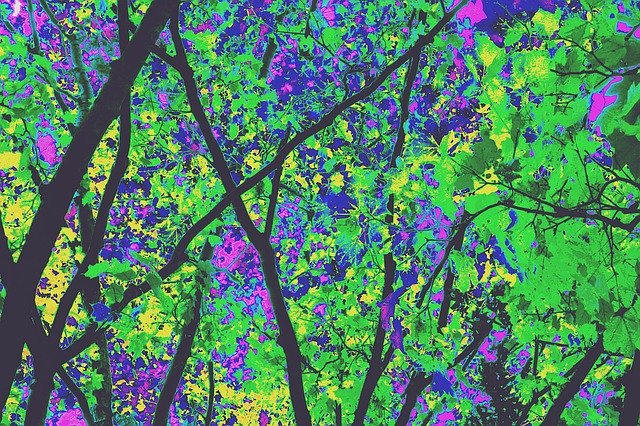 Download grátis Kaleidescope Trees - ilustração grátis para ser editada com o editor de imagens online grátis do GIMP