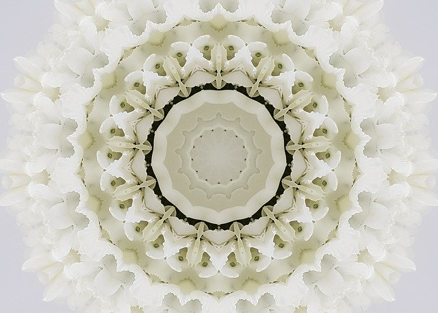 Free download Kaleidoscope Flower Bridal -  free illustration to be edited with GIMP free online image editor