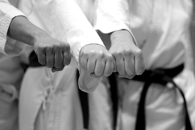 Free download karate battle fist black belt free picture to be edited with GIMP free online image editor