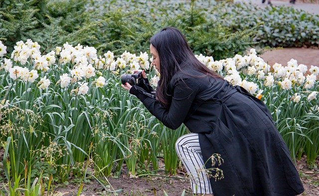 Free download Keukenhof Lisse Holland -  free photo or picture to be edited with GIMP online image editor