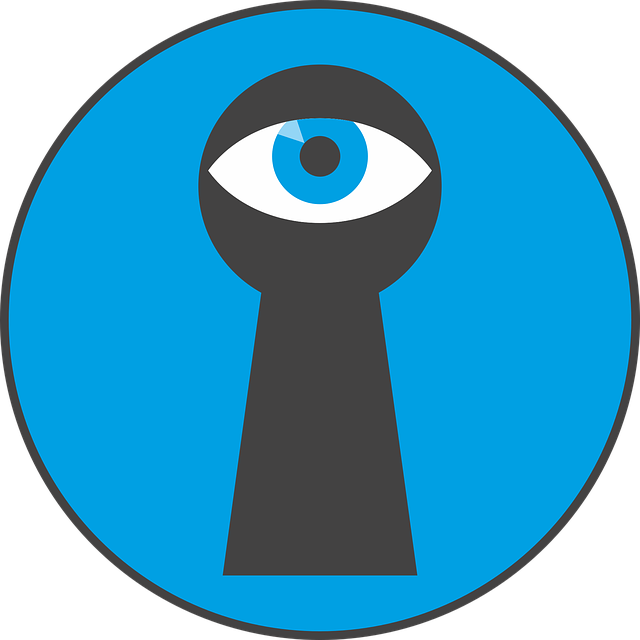 ດາວ​ໂຫຼດ​ຟຣີ Key Hole Eye By Looking - ຮູບ​ພາບ vector ຟຣີ​ໃນ Pixabay ຮູບ​ພາບ​ຟຣີ​ທີ່​ຈະ​ໄດ້​ຮັບ​ການ​ແກ້​ໄຂ​ທີ່​ມີ GIMP ບັນນາທິການ​ຮູບ​ພາບ​ອອນ​ໄລ​ນ​໌​ຟຣີ