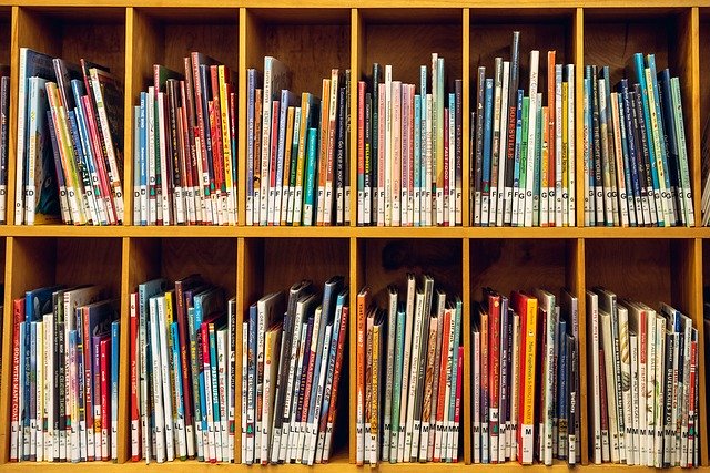 Free download Kid Shelf Books -  free photo or picture to be edited with GIMP online image editor