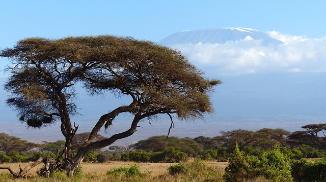 Free download kilimanjaro mountain africa free picture to be edited with GIMP free online image editor