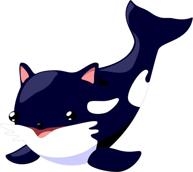 Free download Kit Cat Orca -  free illustration to be edited with GIMP free online image editor