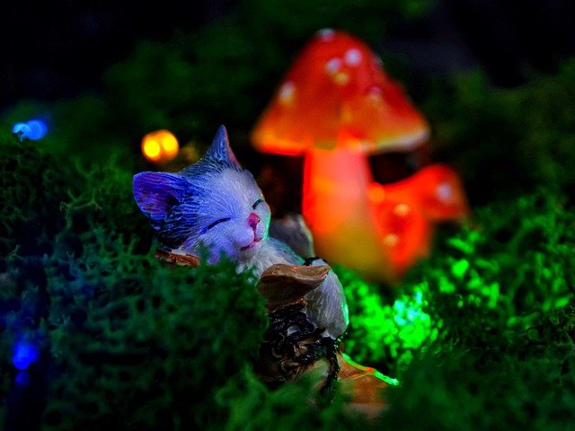 Free download kitten cat figurine miniature free picture to be edited with GIMP free online image editor