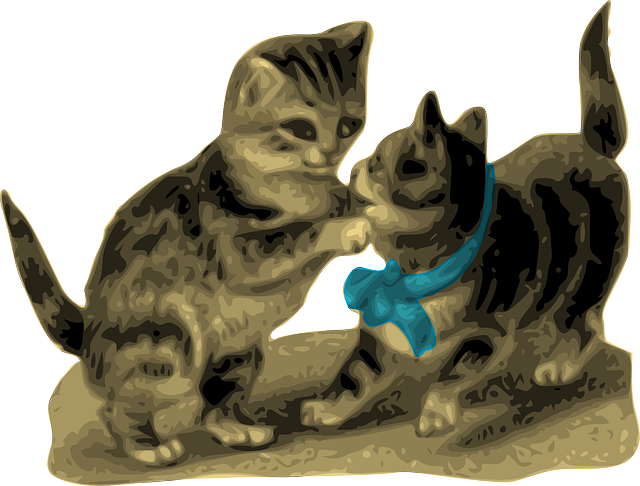 Free download Kittens Cats Playing - Free vector graphic on Pixabay free illustration to be edited with GIMP free online image editor