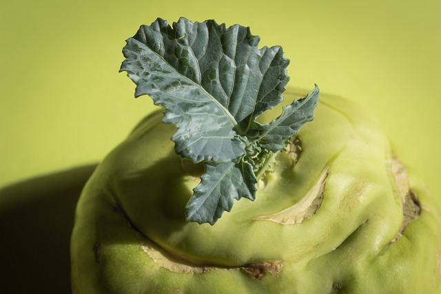 Free download kohlrabi brassica oleracea turnip free picture to be edited with GIMP free online image editor