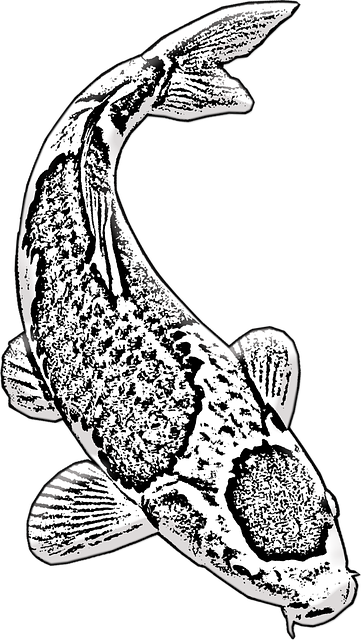 Free download Koi Fish Aquarium -  free illustration to be edited with GIMP free online image editor