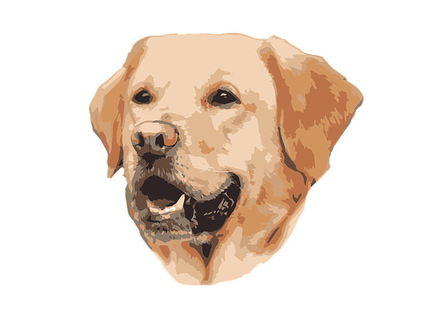 Free download Labrador Mistress Master - Free vector graphic on Pixabay free illustration to be edited with GIMP free online image editor