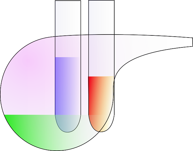 Free download Lab Tube Laboratory - Free vector graphic on Pixabay free illustration to be edited with GIMP free online image editor