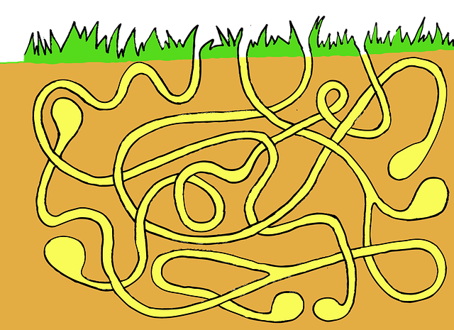 Free download Labyrinth Maze Under The Ground -  free illustration to be edited with GIMP free online image editor