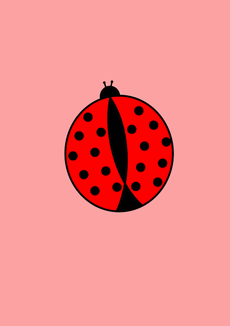 Free download Ladybug Beetle -  free illustration to be edited with GIMP free online image editor