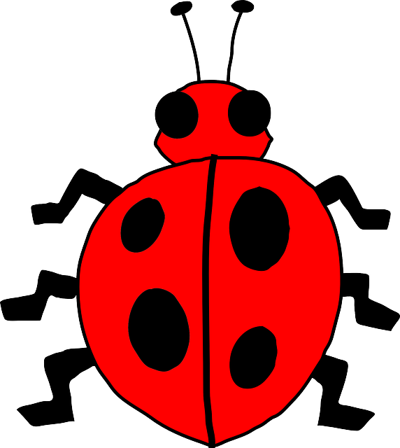 Free download Ladybug Ladybird Beetle - Free vector graphic on Pixabay free illustration to be edited with GIMP free online image editor