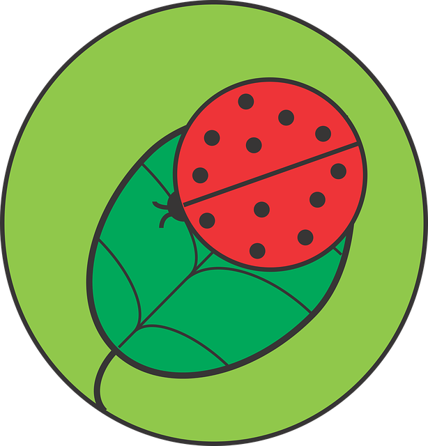 Free download Ladybug Leaf Insect - Free vector graphic on Pixabay free illustration to be edited with GIMP free online image editor