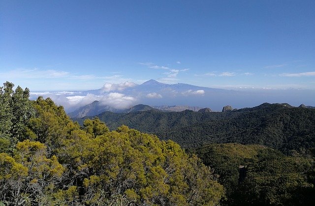 Free download La Gomera Garajonay National Park -  free photo or picture to be edited with GIMP online image editor