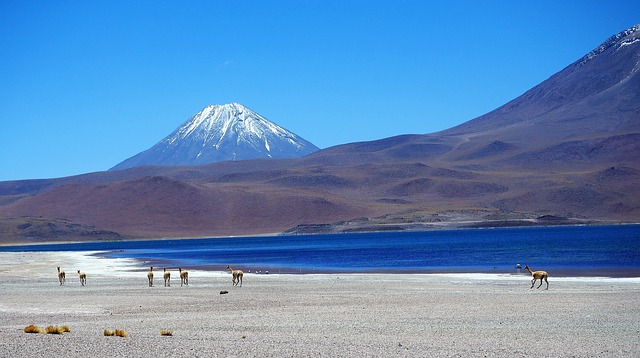 Free download lagoon national park los flamenco free picture to be edited with GIMP free online image editor