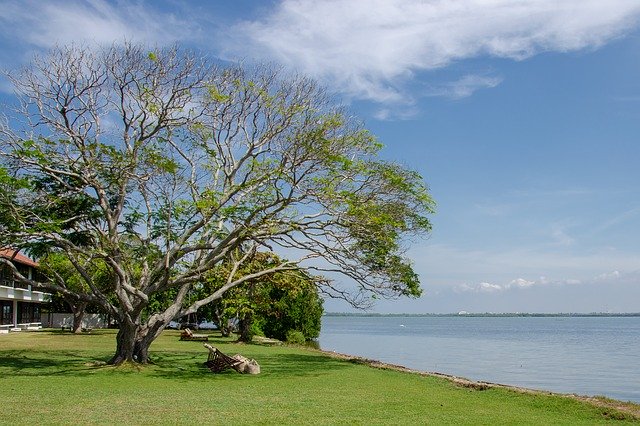 Free download Lake Calm Relaxing -  free photo or picture to be edited with GIMP online image editor