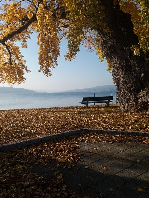 Free download Lake Constance Reichenau Autumn -  free photo or picture to be edited with GIMP online image editor