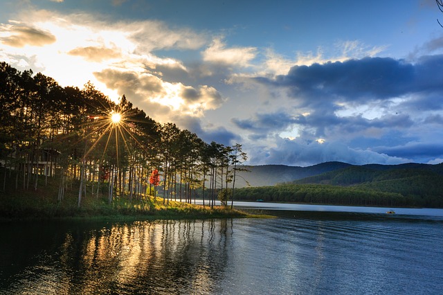 Free download lake forest pine da lat vietnam free picture to be edited with GIMP free online image editor