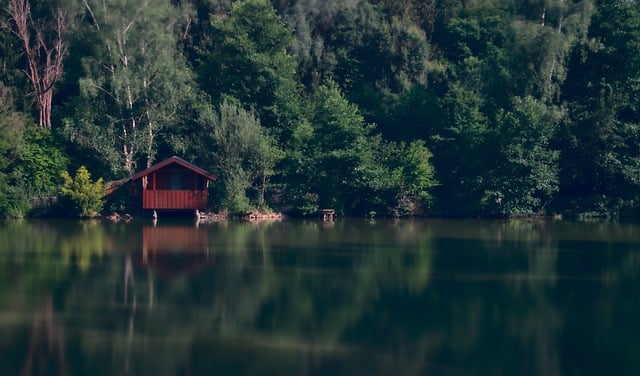 Free download lake forest trees hut landscape free picture to be edited with GIMP free online image editor