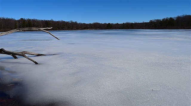 Free download lake frozen winter branch wood free picture to be edited with GIMP free online image editor