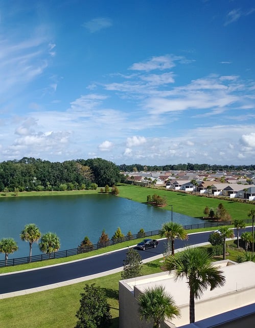 Free download lake houses palm trees blue sky free picture to be edited with GIMP free online image editor