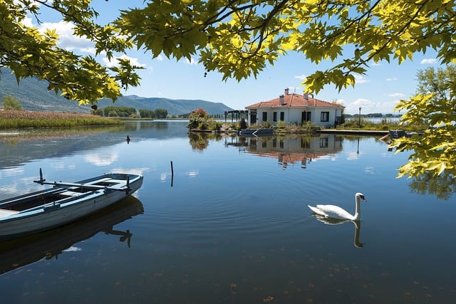 Free download lake kastoria greece boat swan free picture to be edited with GIMP free online image editor