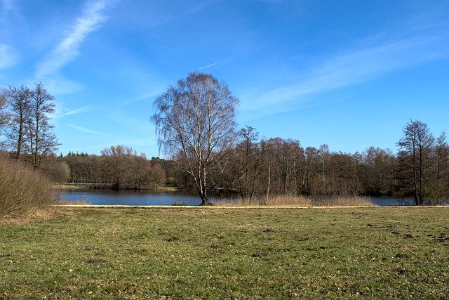 Free download lake lakeside field trees meadow free picture to be edited with GIMP free online image editor