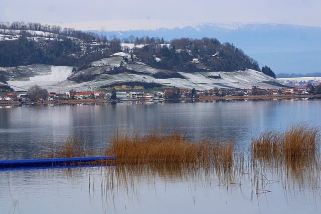 Free download lake murten lake morat switzerland free picture to be edited with GIMP free online image editor