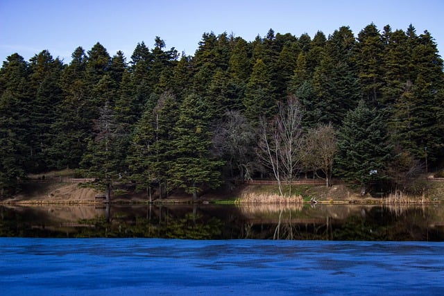 Free download lake nature forest reflection free picture to be edited with GIMP free online image editor