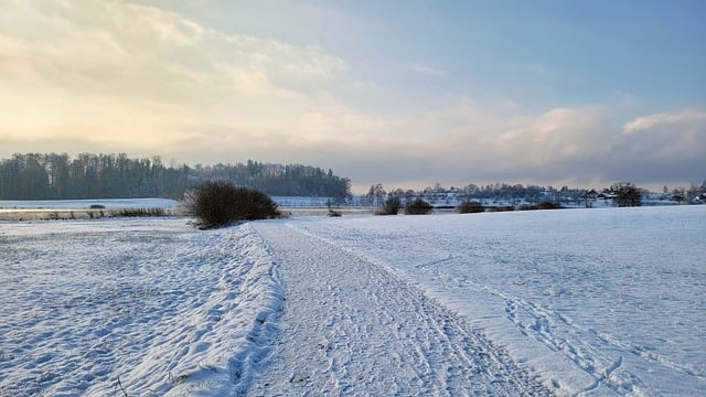 Free download lake path cold winter nature free picture to be edited with GIMP free online image editor