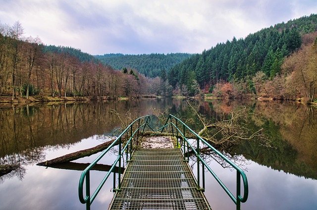 Free download lake reflection trees web water free picture to be edited with GIMP free online image editor