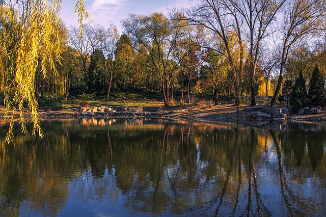 Free download lakeside trees water scenery free picture to be edited with GIMP free online image editor