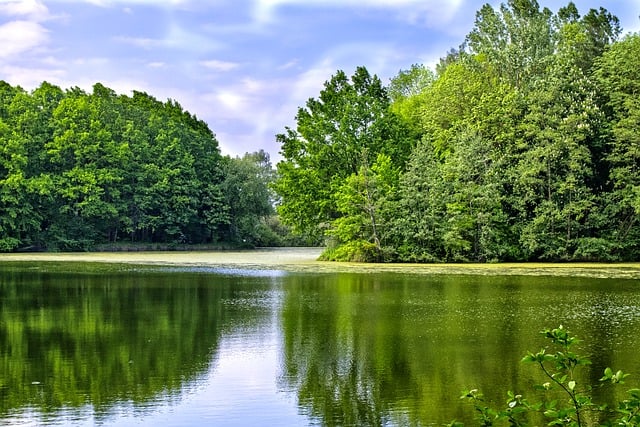 Free download lake trees nature pond water free picture to be edited with GIMP free online image editor