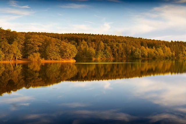 Free download lake water forest nature fall free picture to be edited with GIMP free online image editor