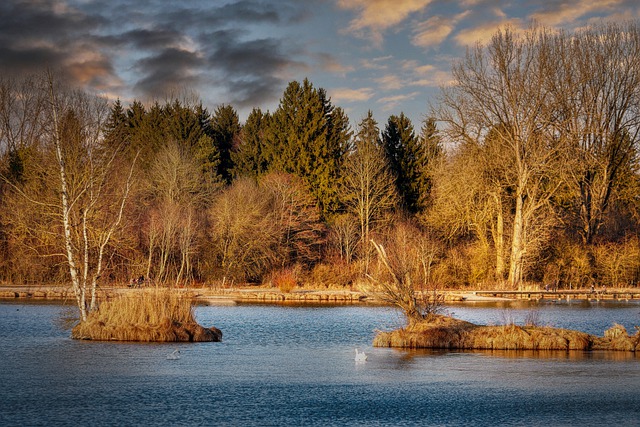 Free download lake water islands forest trees free picture to be edited with GIMP free online image editor