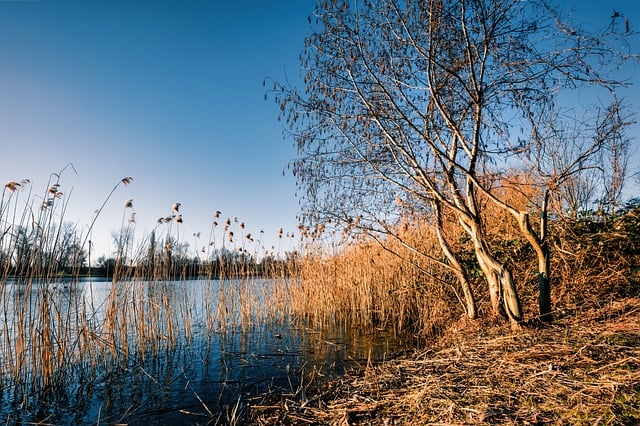 Free download lake water riverbank sunny nature free picture to be edited with GIMP free online image editor