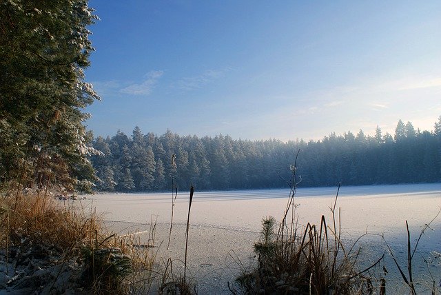 Free download Lake Winter Forest -  free photo or picture to be edited with GIMP online image editor