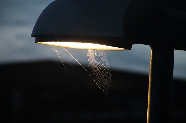 Free download Lamp Cobweb Light -  free photo or picture to be edited with GIMP online image editor